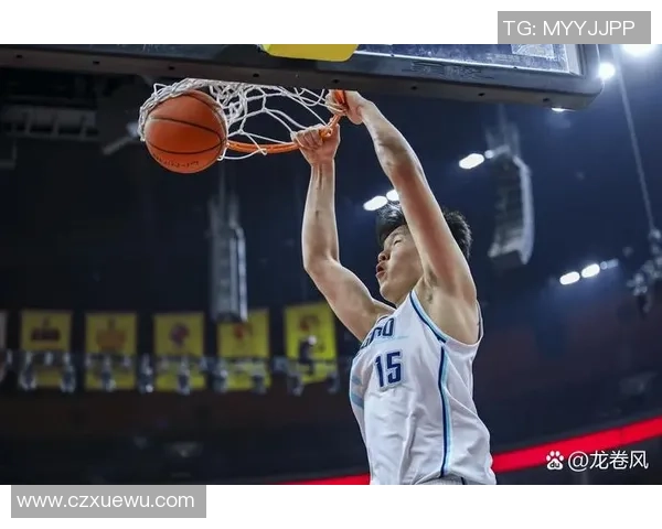 赵泰隆：从篮球新星到职业生涯巅峰的奋斗历程与成就解析