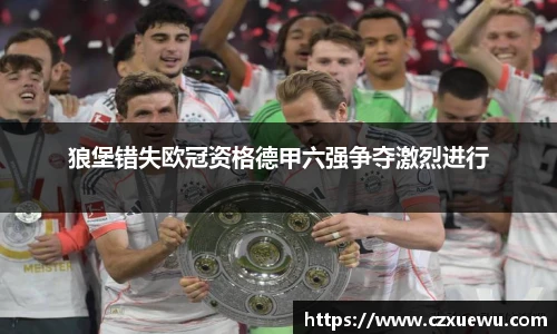 狼堡错失欧冠资格德甲六强争夺激烈进行