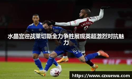 水晶宫迎战莱切斯全力争胜展现英超激烈对抗魅力