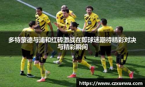 多特蒙德与浦和红砖激战在即球迷期待精彩对决与精彩瞬间