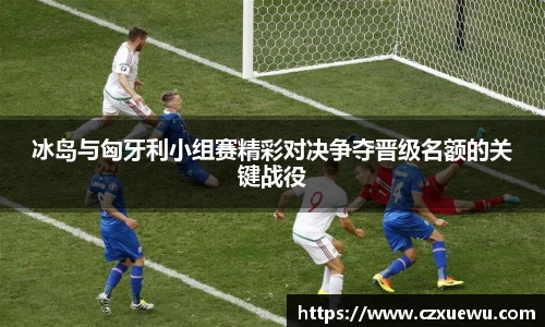 冰岛与匈牙利小组赛精彩对决争夺晋级名额的关键战役