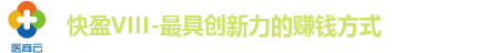 快盈VIII